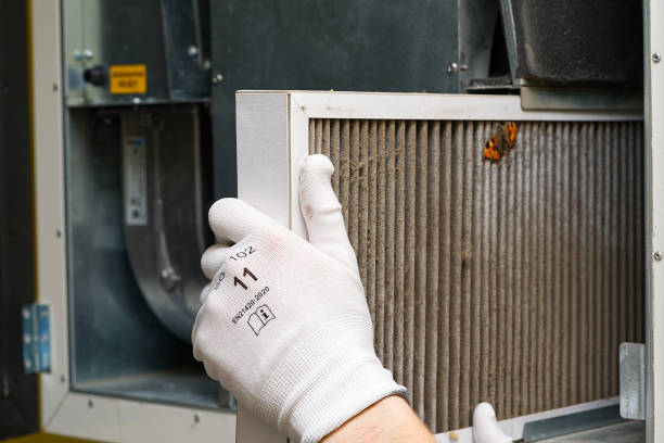 Best Air Duct Mold Removal  in Thunder Mountain, NM