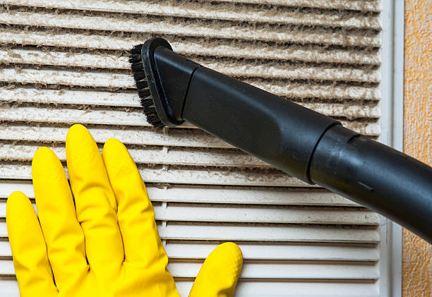 Best Air Duct Sanitizing Services  in Thunder Mountain, NM
